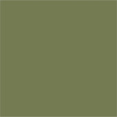 Army green (Vollfarbe) Aufkleber (Vorderseite)