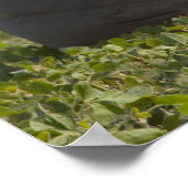 Army Paratrooper Poster (Ecke)