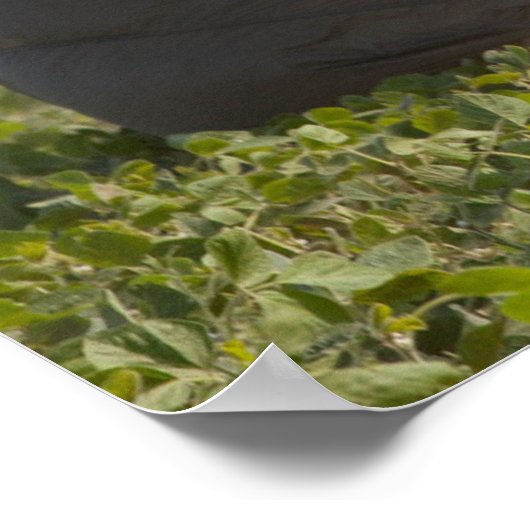 Army Paratrooper Poster (Ecke)