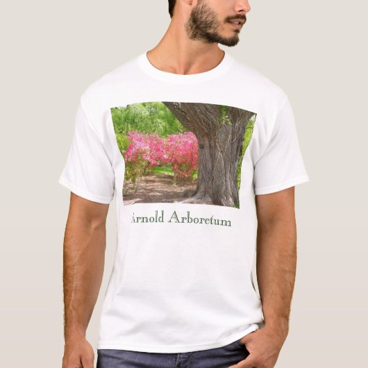 Arnold-Arboretum im Frühjahr T-Shirt (Vorderseite)
