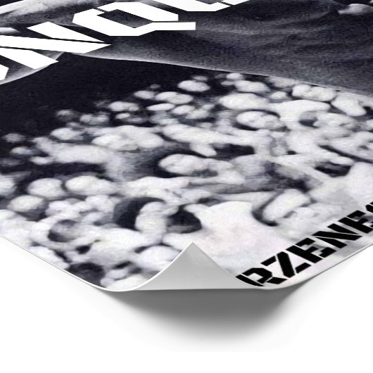 ARNOLD SCHWARZENEGGER - KONQUOTE POSTER (Ecke)