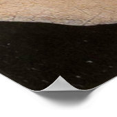 Arnolfini und Ehefrau Portrait (Detail) Poster (Ecke)