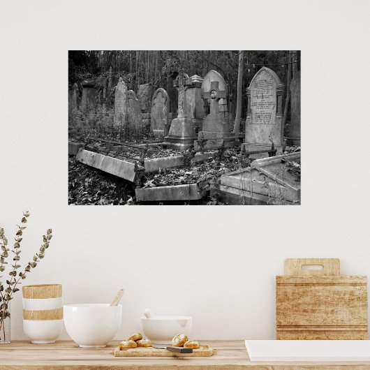 ArnosVale4 Poster (Küche)