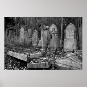 ArnosVale4 Poster (Vorne)