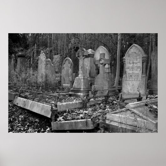 ArnosVale4 Poster (Vorne)