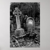 ArnosVale7 Poster (Vorne)