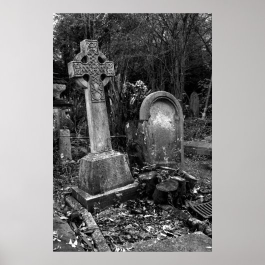 ArnosVale7 Poster (Vorne)