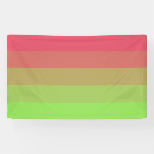 Aroflux Pride Banner (Horizontal)