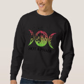 Aroflux Pride Flag Not A Phase Aroflux Flag Sweatshirt (Vorderseite)