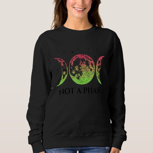 Aroflux Pride Flag Not A Phase Aroflux Flag Sweatshirt (Vorderseite)