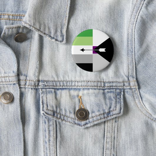 Aromantic Demisexual Button (Beispiel)