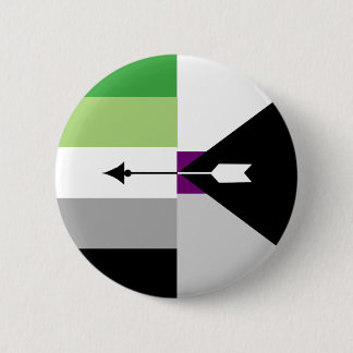 Aromantic Demisexual Button