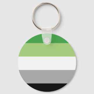 Aromantic Flag Button Schlüsselanhänger