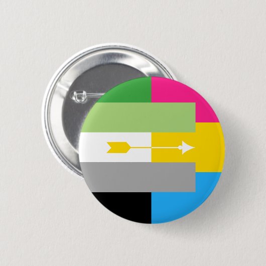 Aromantic Pansexual Button (Vorne & Hinten)