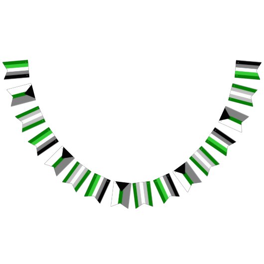 Aromantic Spektrum-Flaggen-Flaggen Wimpelkette (Alle)