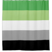 Aromantische Flagge Duschvorhang (Vorderseite)
