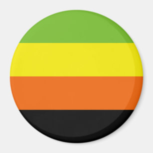 Aromantische Pride-Flagge Magnet