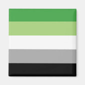 Aromantische Stolperflagge Magnet (Vorne)