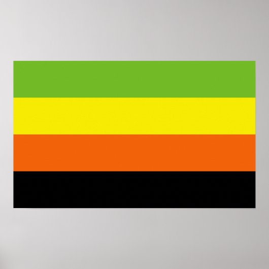 Aromantischer Stolz Poster (Vorne)