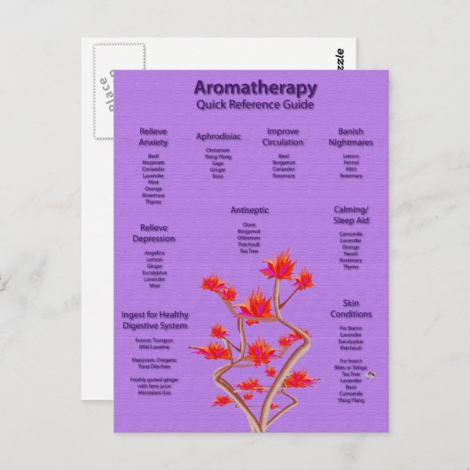 Aromatherapie Diagramm in Lavendel Postkarte (Vorne/Hinten)