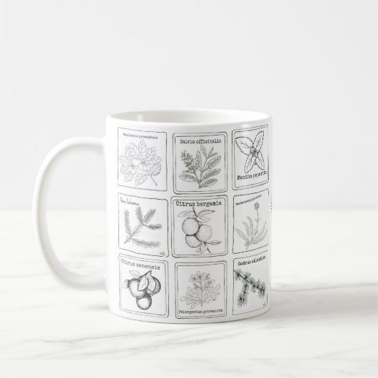 Aromatherapy-Pflanzen-Skizze-Tasse Kaffeetasse (Links)