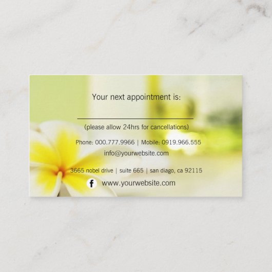 Aromatherapy Spa Skin Care Massage Salon Elegant Terminkarte (Rückseite)