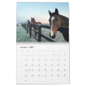 Arondel Equestrian 2021 Kalender (Jan 2027)