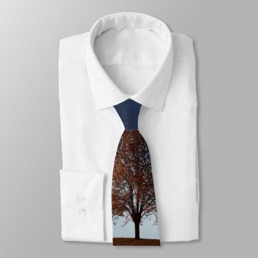 AROOS Neck Tie Krawatte (Gebunden)
