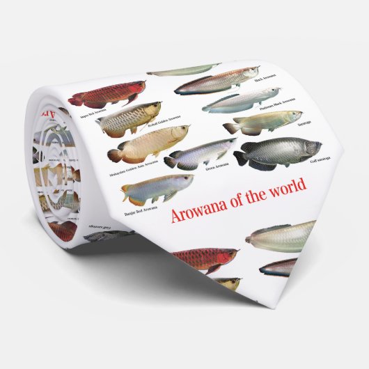 Arowana Krawatte (Gerollt)