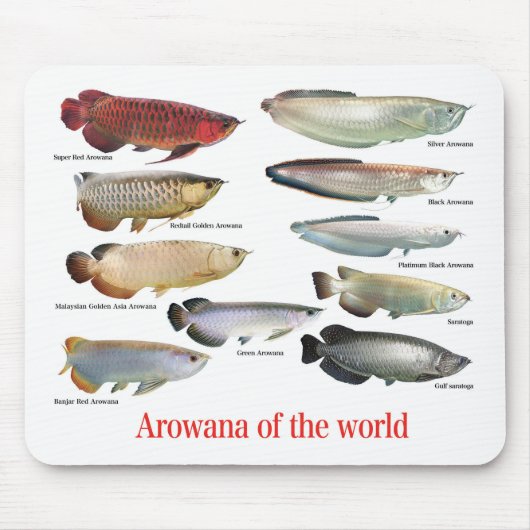 Arowana Mousepad (Vorne)