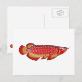 arowana Postkarte (Vorne/Hinten)