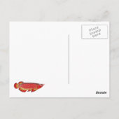 arowana Postkarte (Rückseite)