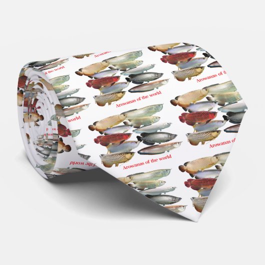 Arowanas Krawatte (Gerollt)