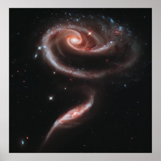 Arp 273 Interagierende Galaxien (Hubble Telescope) Poster (Vorne)