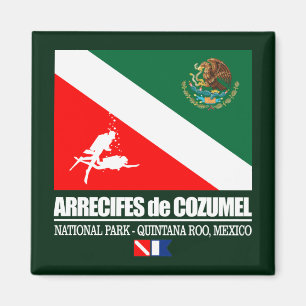 Arrecifes de Cozumel (sq) Magnet