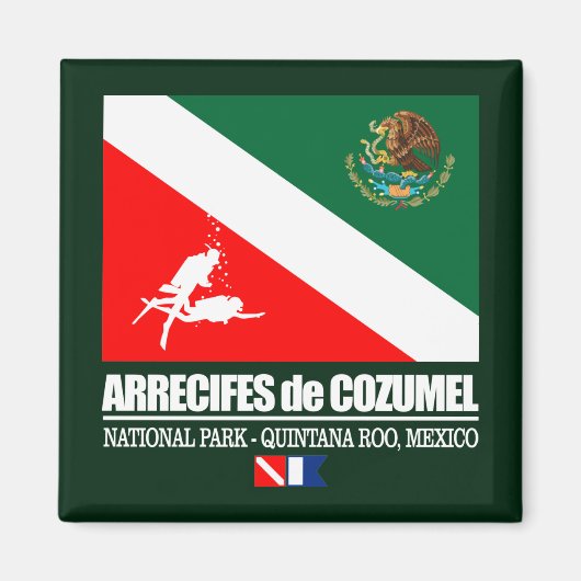 Arrecifes de Cozumel (sq) Magnet (Vorne)