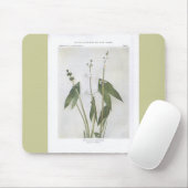 Arrowhead-Leaved - Sagittaria latifolia Mousepad (Mit Mouse)