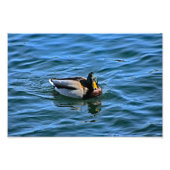 Arrowhead-See Fotodruck (Vorne)