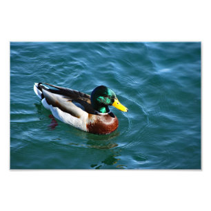 Arrowhead-See Fotodruck