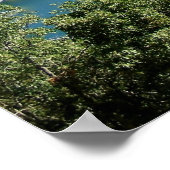 Arrowhead-See Poster (Ecke)