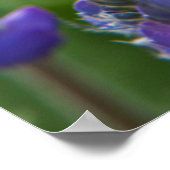 Arrowleaf Balsam Root and Lupine in Spring Bloom Poster (Ecke)