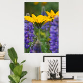 Arrowleaf Balsam Root and Lupine in Spring Bloom Poster (Heimbüro)