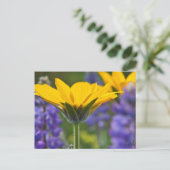 Arrowleaf Balsam Root and Lupine in Spring Bloom Postkarte (Stehend Vorderseite)