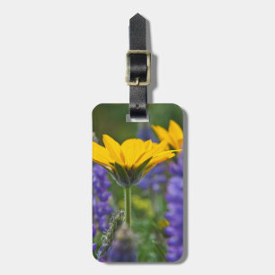 Arrowleaf Balsam Root und Lupine im Frühjahr Bloom Gepäckanhänger
