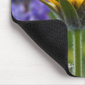 Arrowleaf Balsam Root und Lupine im Frühjahr Bloom Mousepad (Ecke)