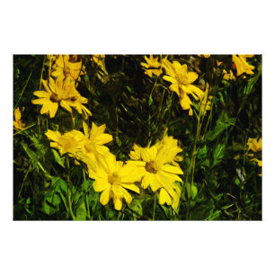 Arrowleaf Balsamroot Gelbe Wildblume Abstrakt Fotodruck
