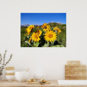 Arrowleaf Balsamroot Gerahmt Print Poster (Küche)