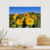 Arrowleaf Balsamroot Gerahmt Print Poster (Küche)