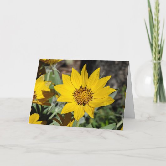 Arrowleaf Balsamroot Notecard Karte (Vorderseite)
