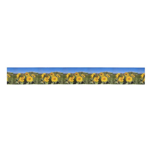Arrowleaf Balsamroot Wildblume-Band Ripsband (Vorderseite)